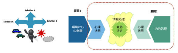 意思決定に関わる情報処理プロセス